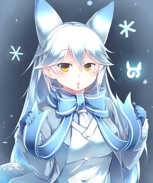 シロイキタキツネ