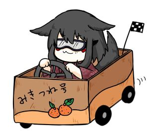 马里奥赛车-御狐轮